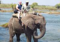 5 of the Most Unmissable Experiences in Thailand