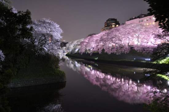 Top 10 Places to Visit in Japan