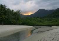 Daintree National Park, Australia : Tourist Guide