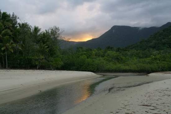 Daintree National Park, Australia : Tourist Guide