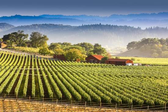 10 of the Best Destinations for Wine Tasting