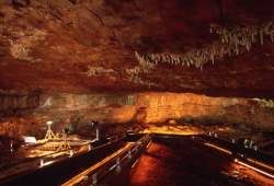 The Cave of Altamira