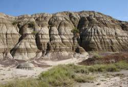 Dinosaur Provincial Park