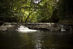 Khao Yai National Park