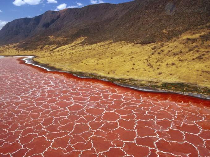 Lake Natron
