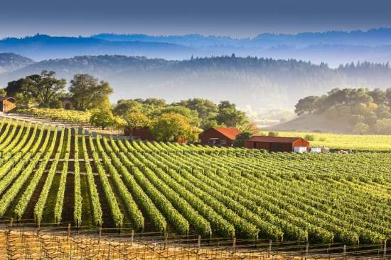10 of the Best Destinations for Wine Tasting