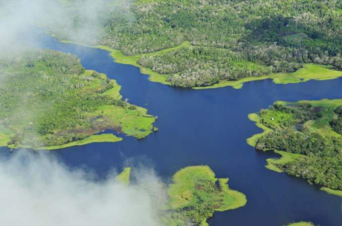 Amazon Rainforest